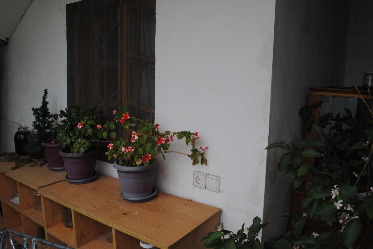 Family Guesthouse - Macharashvili Tbilisi Eksteriør bilde